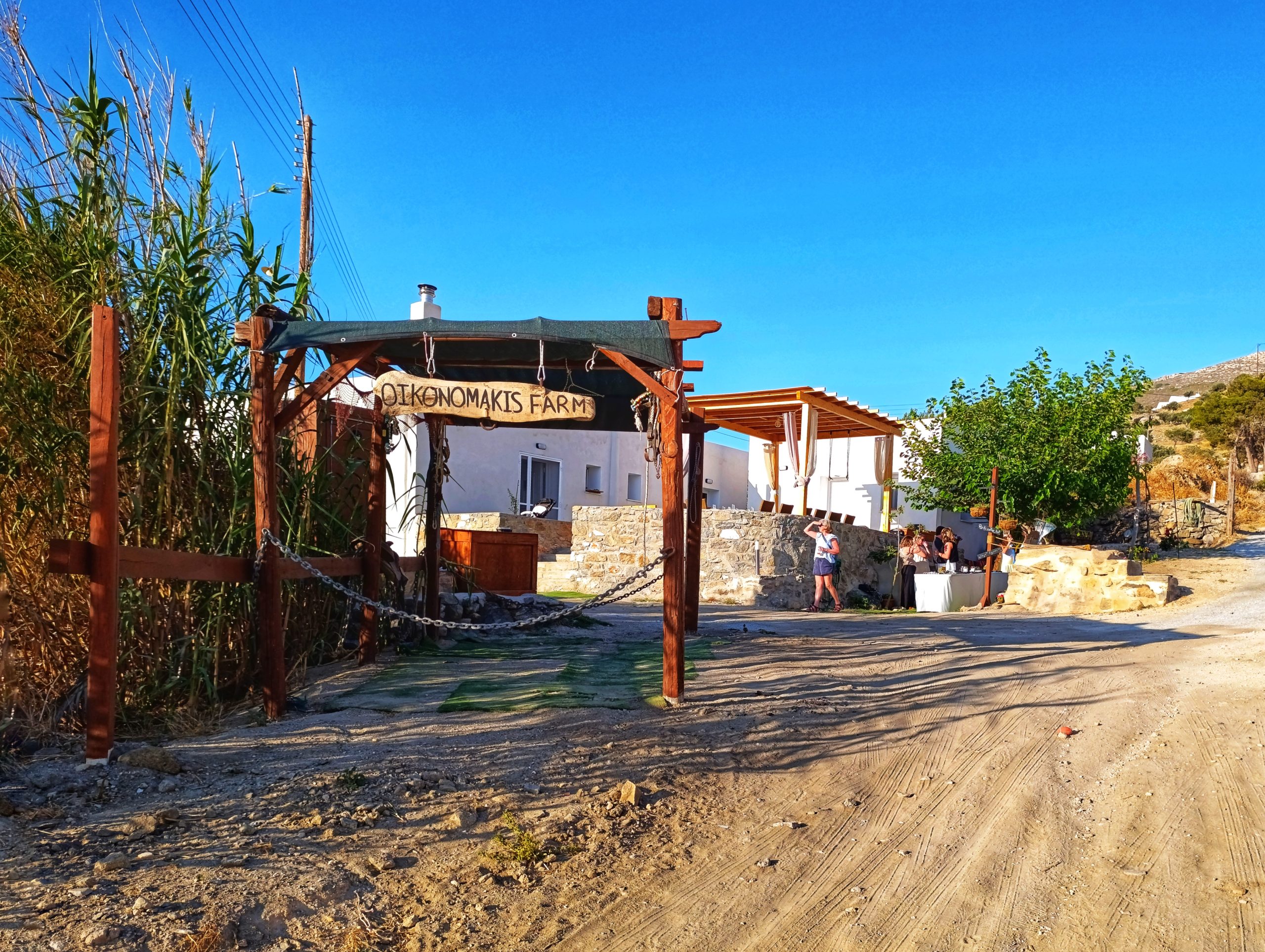 Cooking_Classes_Paros (14)